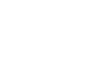 CDNX Technologies Logo